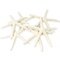 Nautical Crush Trading; Starfish Decor - Star Fish for Craft - 6pk Real 3-4" White Sea Stars - Beach Wedding Decor - Coastal Party Decorations - Seashell Decor; Category:Shells; Image:2